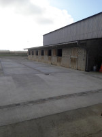 Location Ecuries de propritaires